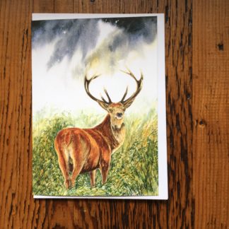 Lone Stag Card