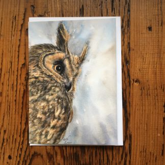 Long Eared Owl Card