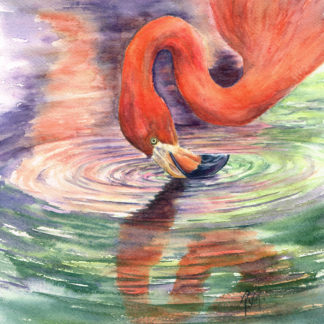 Flamingo Reflections - Limited Edition Fine Art Print