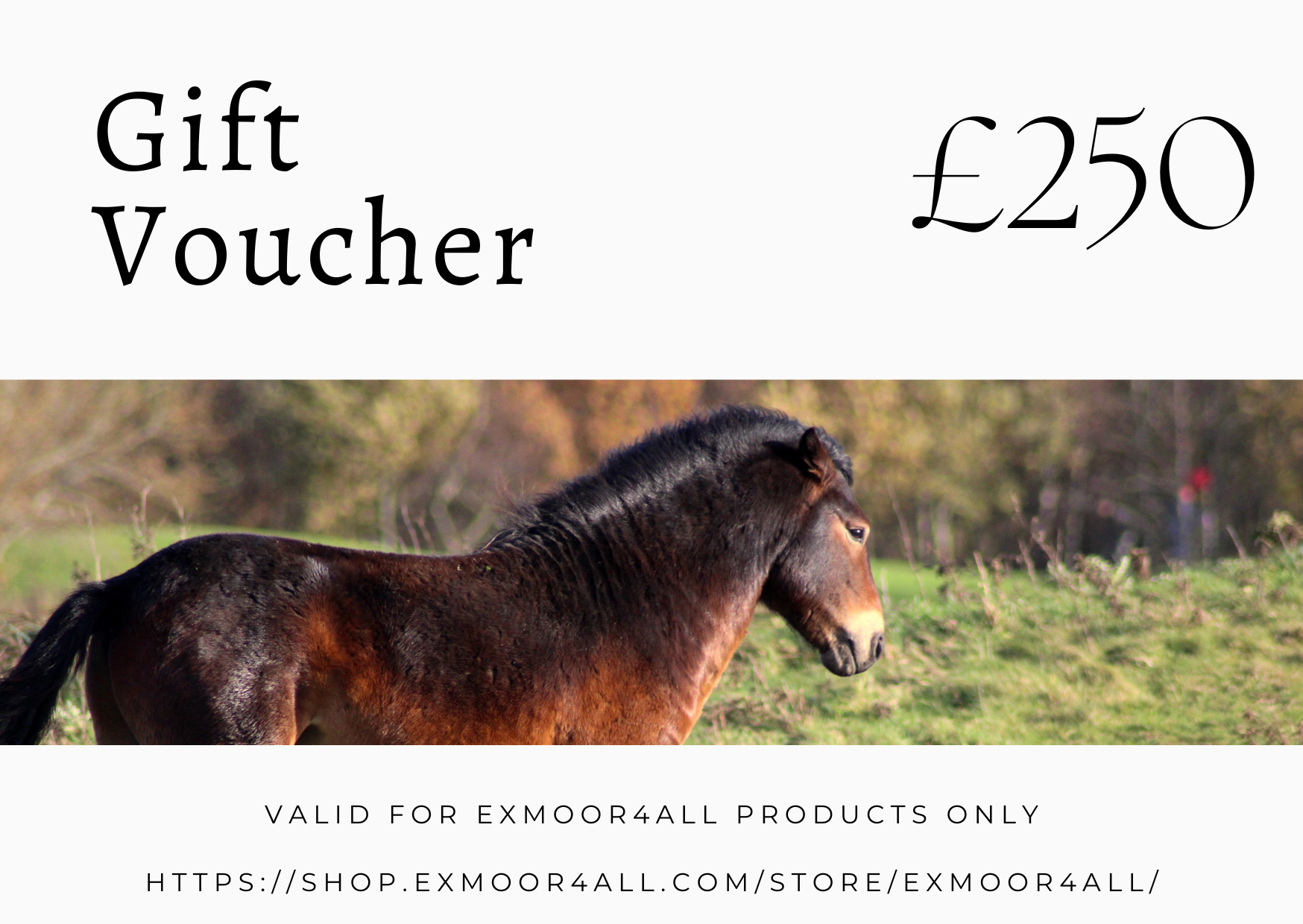 Exmoor4all Gift Card - Image 3