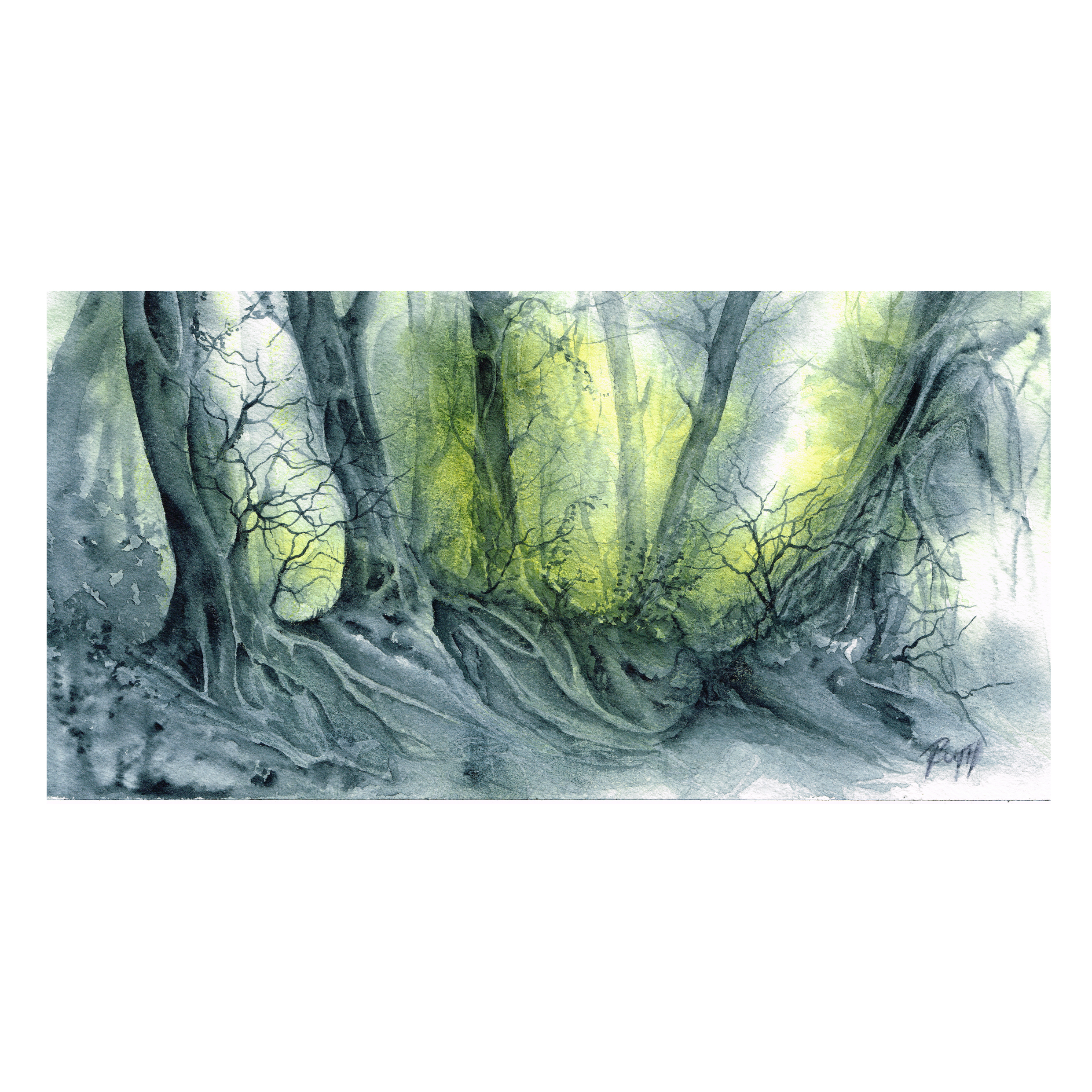 Devon Bank - Winter Trees